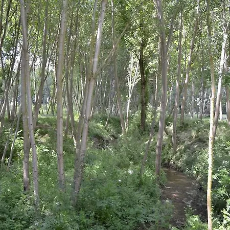 Casa Rural Las Barricas *