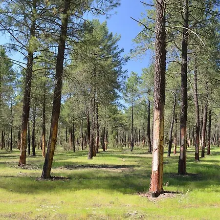 Casa Rural Las Barricas