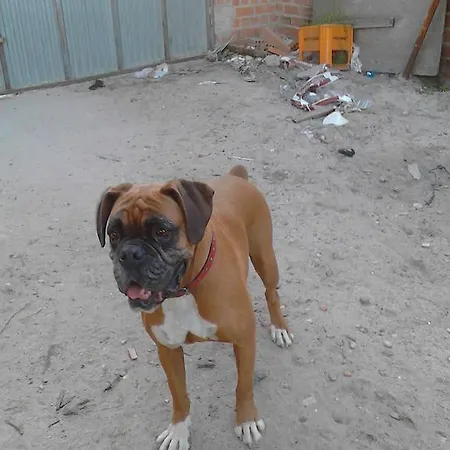 Casa di campagna Barricas *