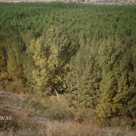 Casa Rural Las Barricas Landhaus Coca