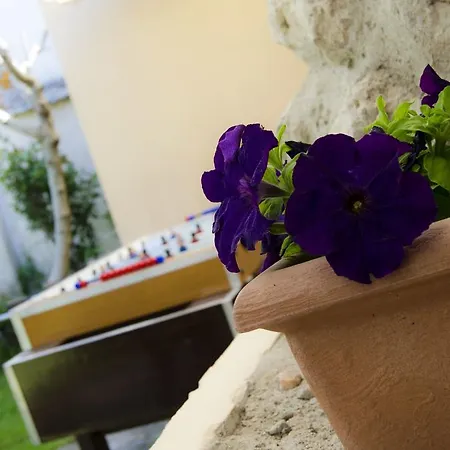 Casa Rural Las Barricas Coca