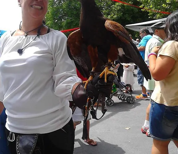 Casa Rural Las Barricas * Coca
