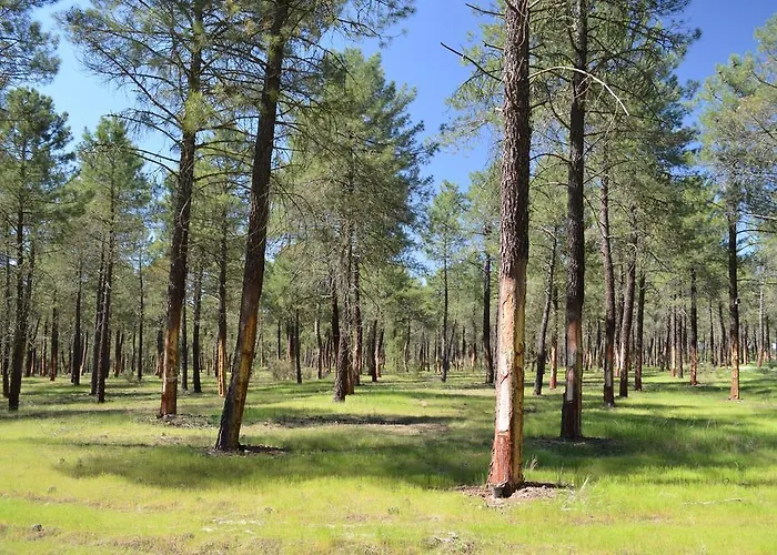 Casa Rural Las Barricas