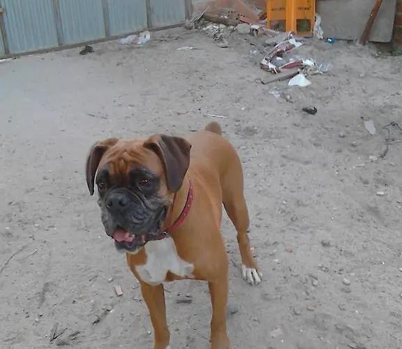 Country house Casa Rural Las Barricas *