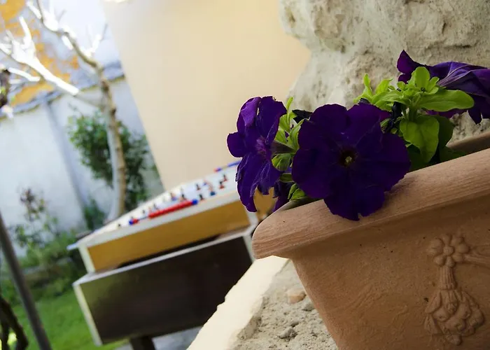 Casa Rural Las Barricas Coca